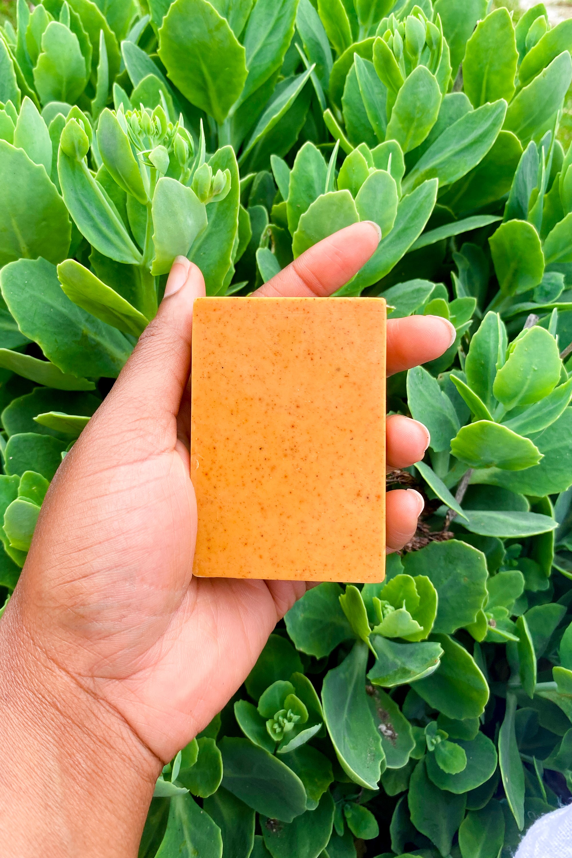 Turmeric Glow UP Facial Bar